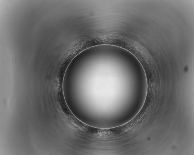 X0000095550752200712211409