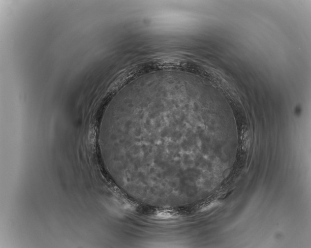 X0000095550753200712211409