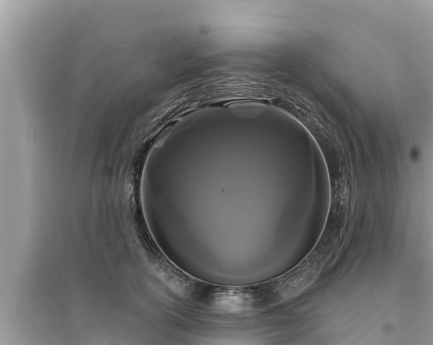 X0000095550754200712211409