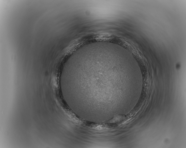 X0000095550755200712211409