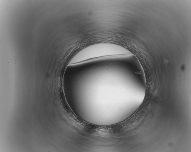 X0000095550756200712211409