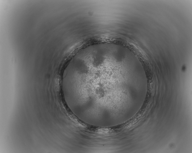 X0000095550757200712211409