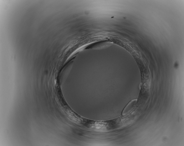 X0000095550758200712211409