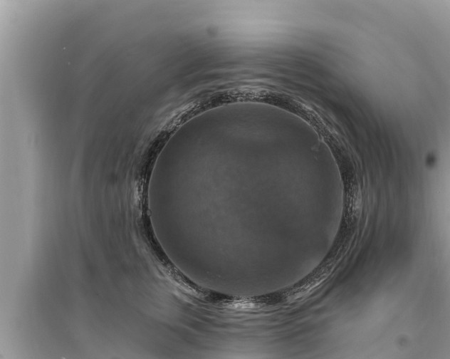 X0000095550759200712211409