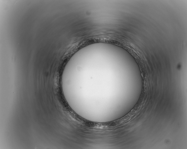 X0000095550760200712211409