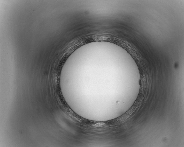 X0000095550761200712211409