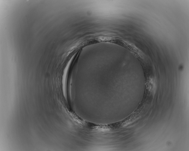 X0000095550763200712211409