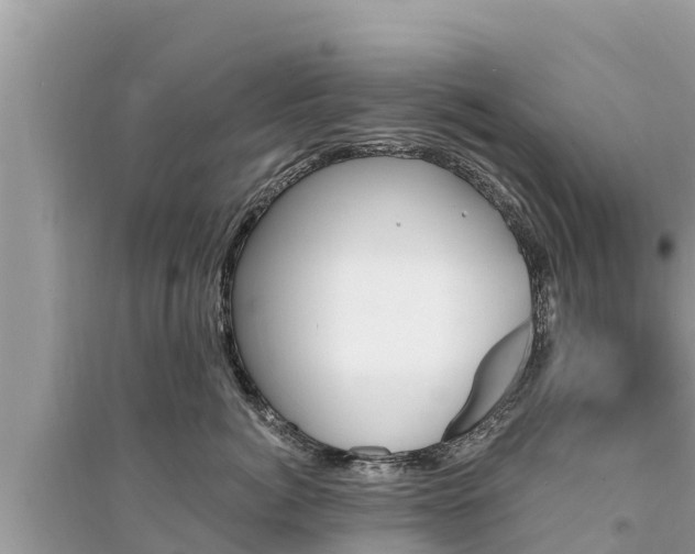 X0000095550764200712211409