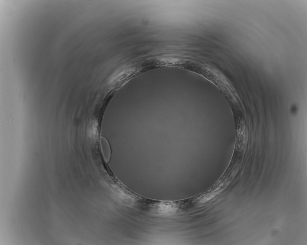 X0000095550765200712211409