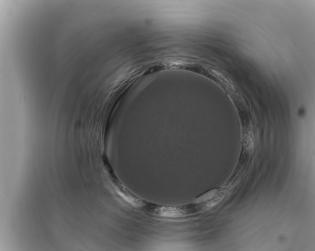 X0000095550766200712211409