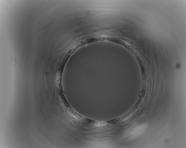 X0000095550767200712211409