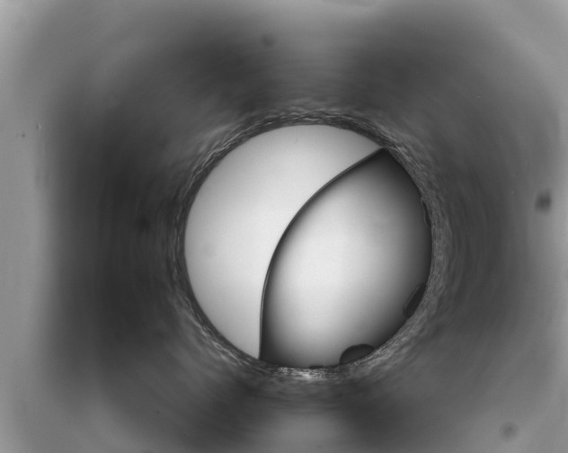 X0000095550768200712211409