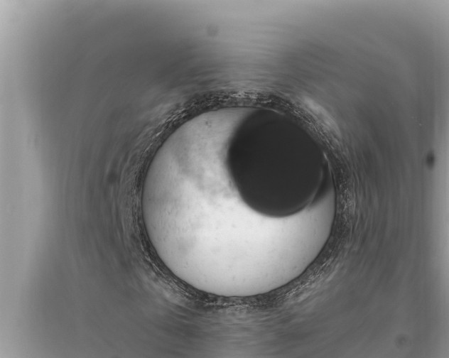 X0000095550769200712211409