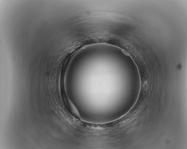 X0000095550772200712211409