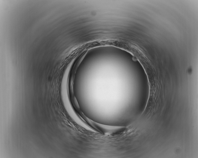 X0000095550773200712211409