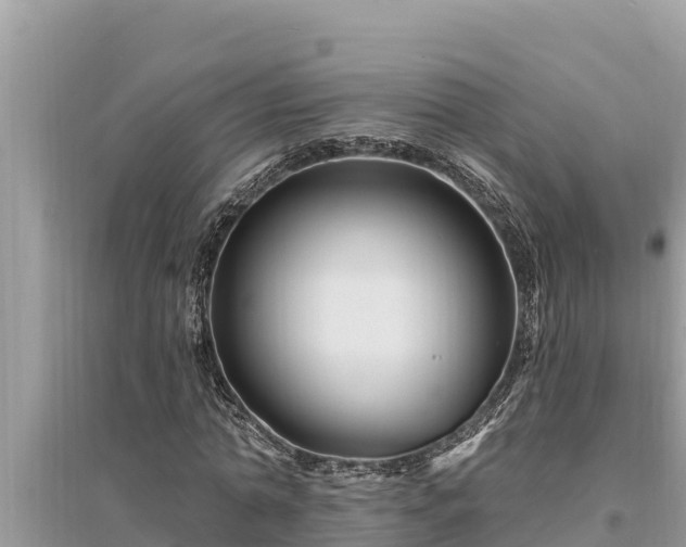 X0000095550774200712211409