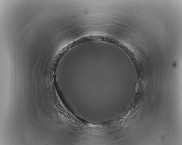 X0000095550775200712211409