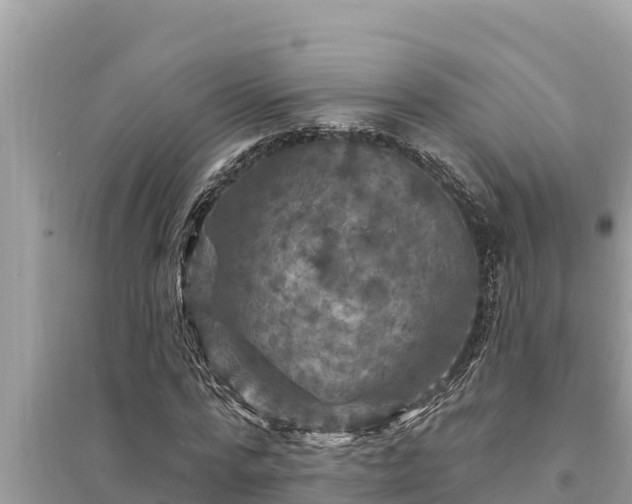 X0000095550776200712211409