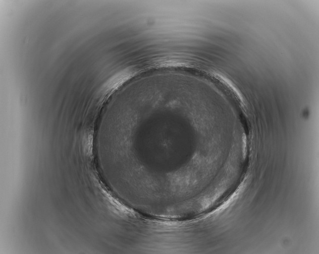 X0000095550777200712211409