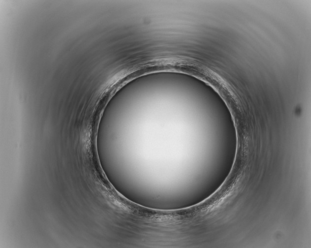 X0000095550778200712211409