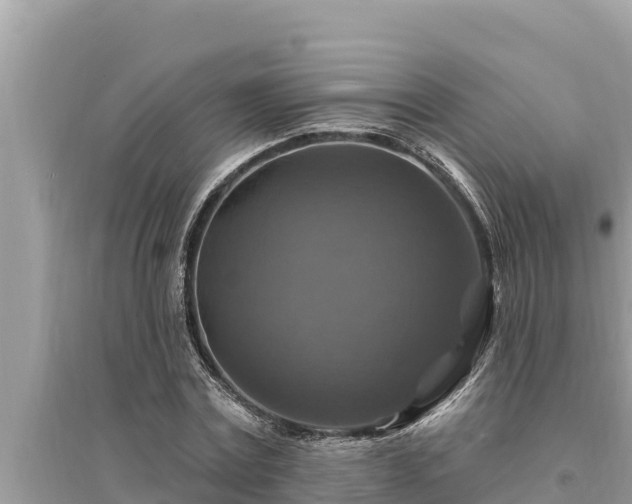 X0000095550779200712211408