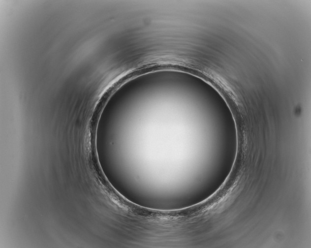 X0000095550782200712211408