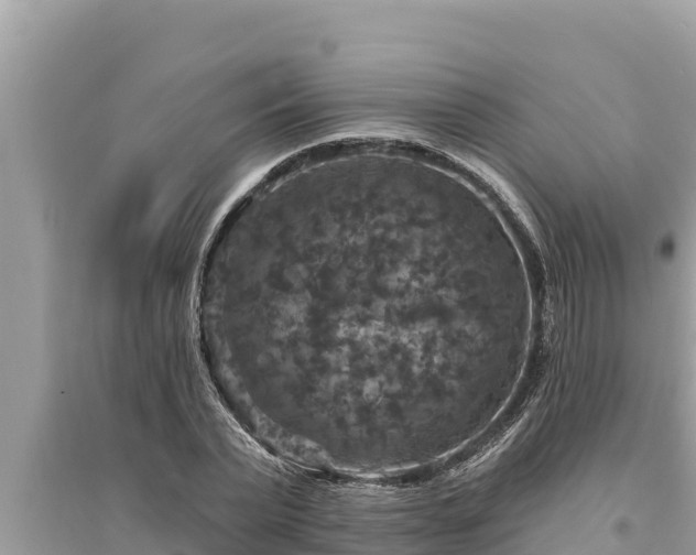 X0000095550783200712211408