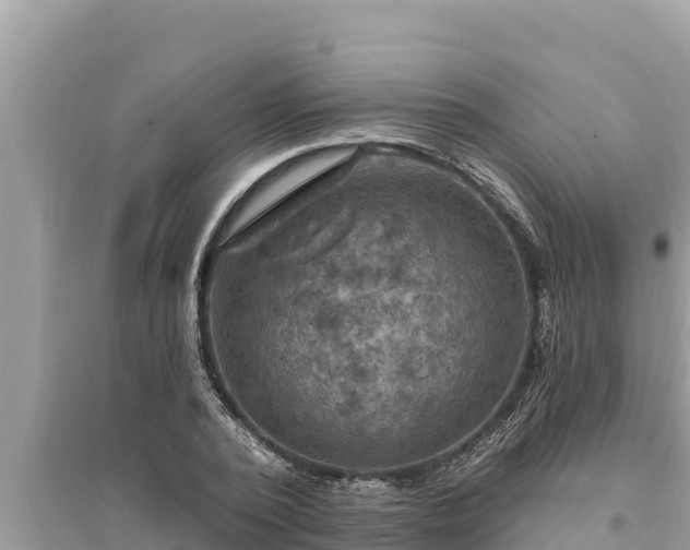 X0000095550784200712211408