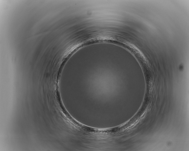 X0000095550785200712211408