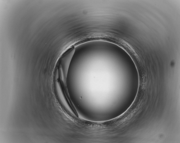 X0000095550786200712211408