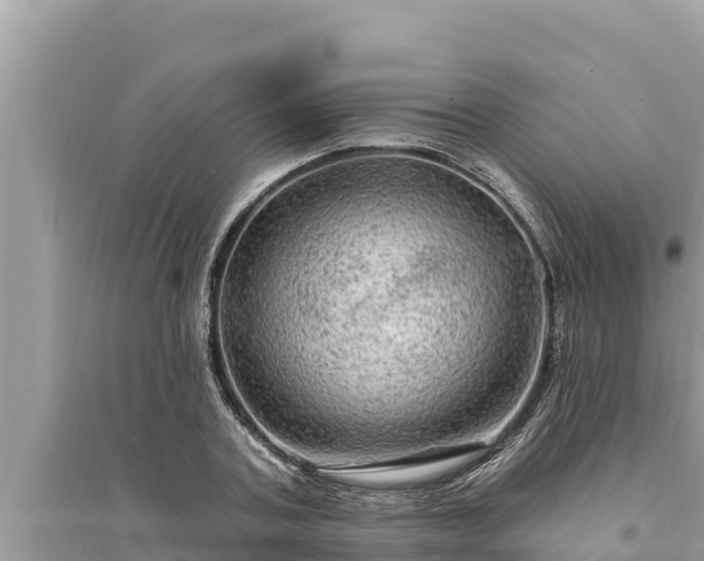 X0000095550787200712211408