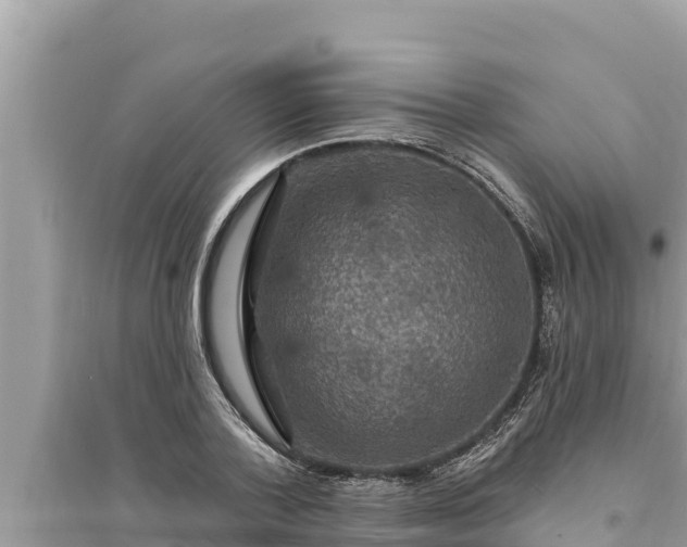 X0000095550788200712211408