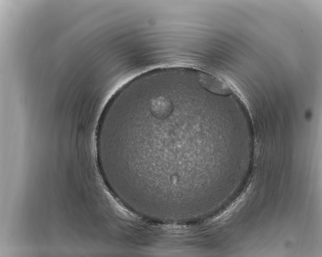 X0000095550789200712211408