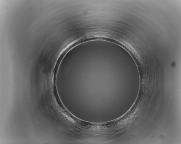 X0000095550790200712211408