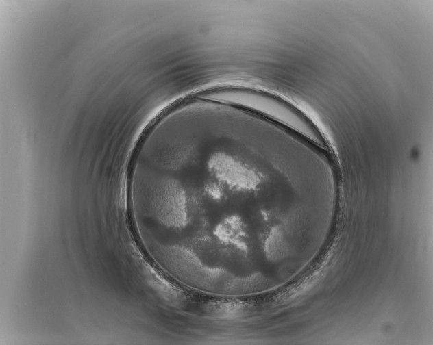 X0000095550791200712211408