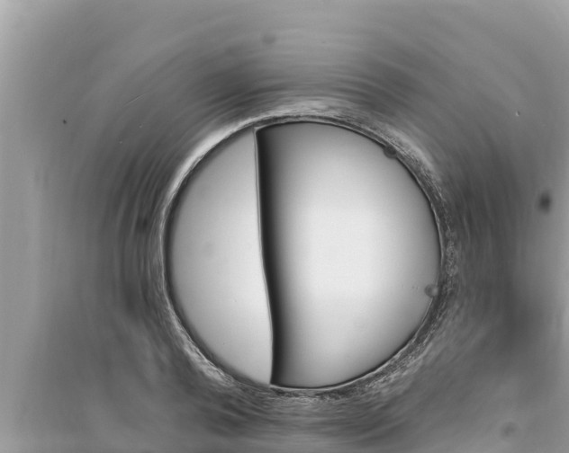 X0000095550792200712211408