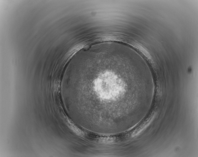 X0000095550793200712211408