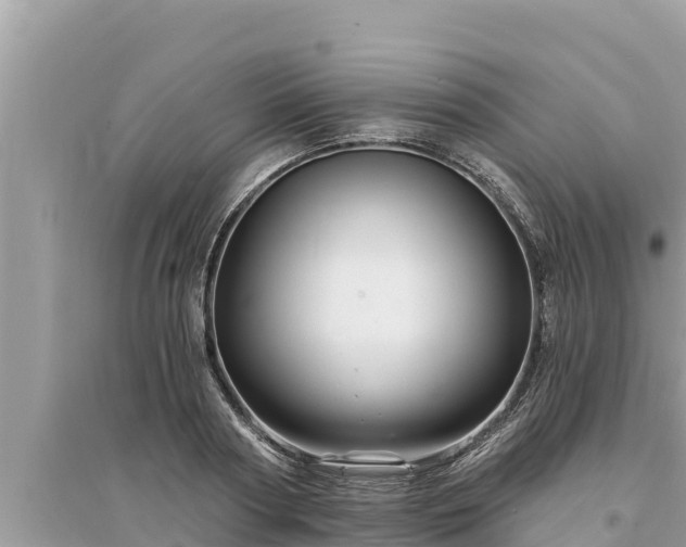 X0000095550794200712211408