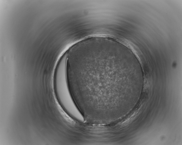 X0000095550795200712211408