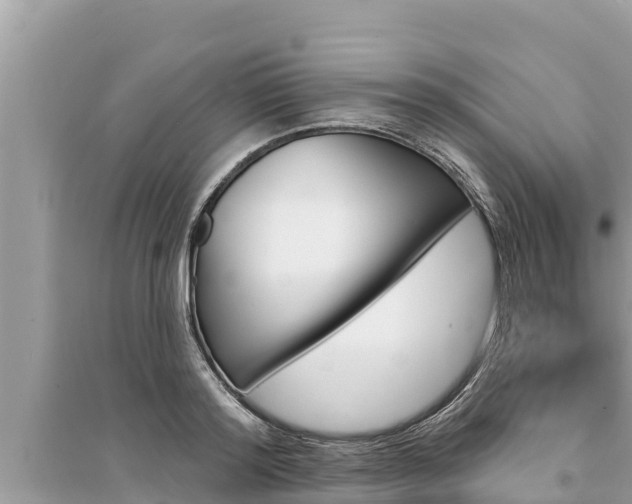 X0000095550796200712211408