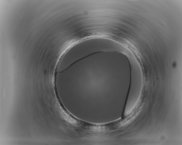 X0000095550797200712211408