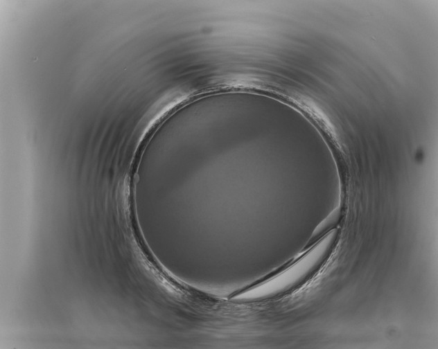 X0000095550798200712211408