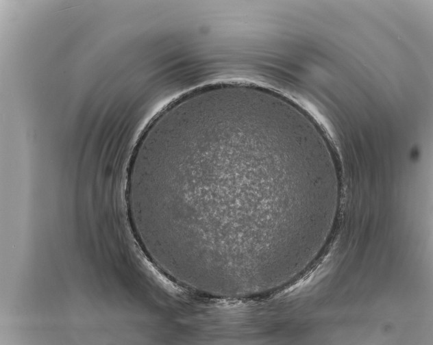 X0000095550799200712211408