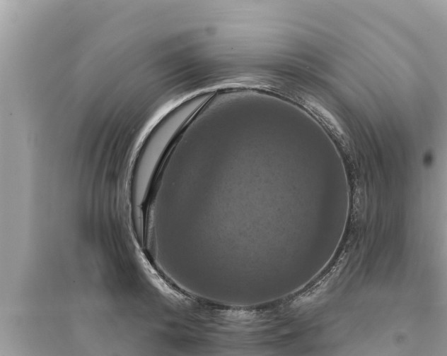 X0000095550800200712211408