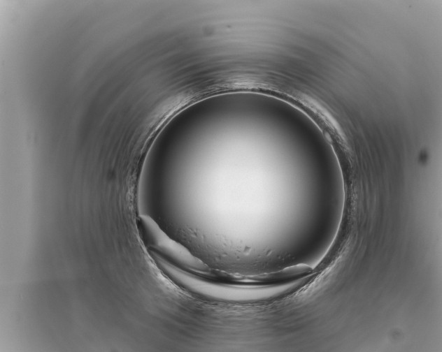 X0000095550801200712211408