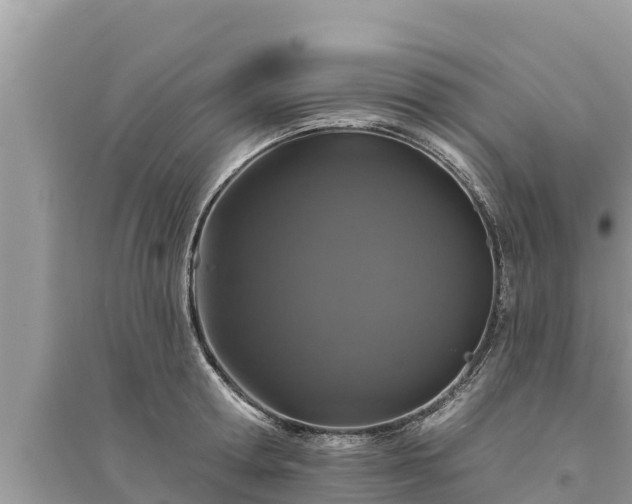 X0000095550802200712211408