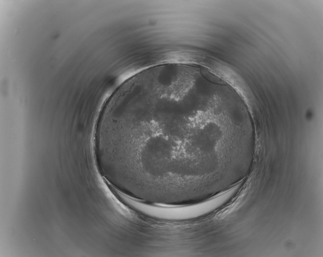 X0000095550803200712211408