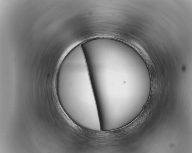 X0000095550804200712211408