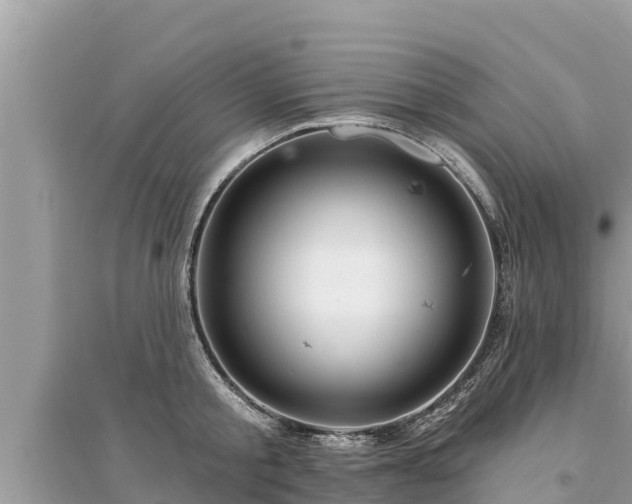 X0000095550805200712211408