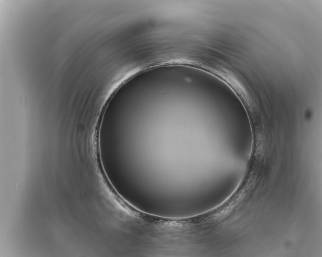 X0000095550806200712211408